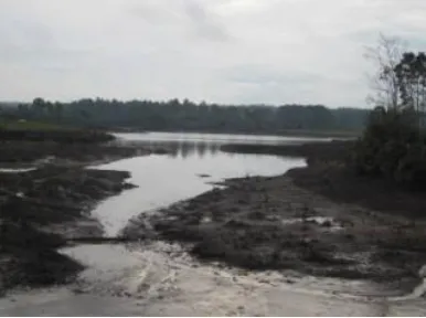 Gambar 3. Danau Aek Natonang di Kabupaten Samosir 