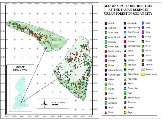 Figure 2. Distribution of plant species in Taman Beringin Urban Forest 