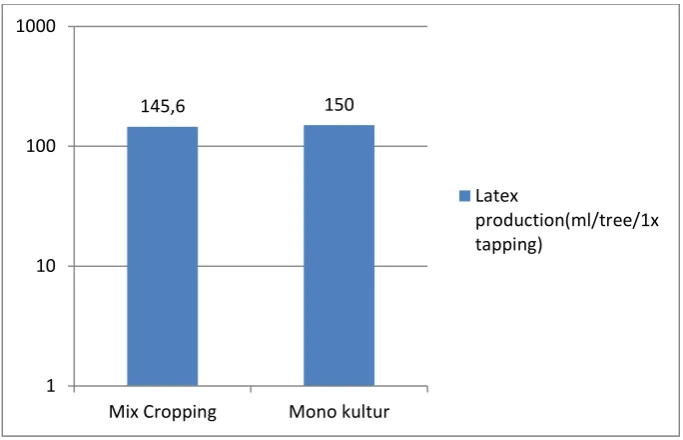 Figure 2: The production of rubber latex in combination with forest trees 
