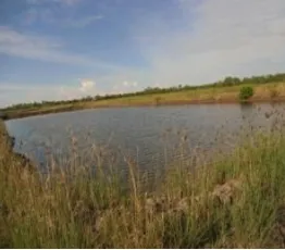 Figure 4: Changes from scrub into fish pond in Marelan Sub District 