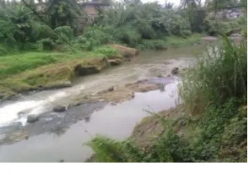 Figure 3. The condition of the upstream part of Belawan Watershed  