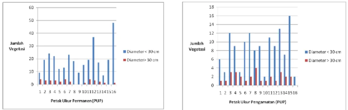 Gambar 4 Sebaran diameter vegetasi kapur  (Dryobalanops aromatica) dan  kesambi (Schleichera oleosa)  pada Plot 1 dan Plot 2