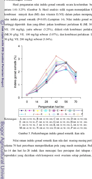 Gambar 5. Perkembangan indeks gonad somatik ikan nila  