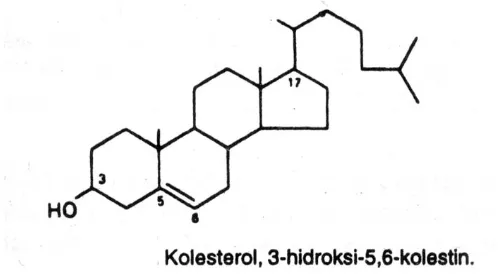 Gambar 1 memperlihatkan struktur kimia kolesterol. 