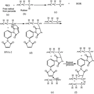 FIG. 4.Reaction sequence of crosslinking in rubber phase by peroxide and HVA-2[11].