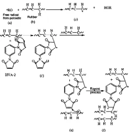 FIG. 4.Reaction sequence of crosslinking in rubber phase by peroxide and HVA-2 [11]