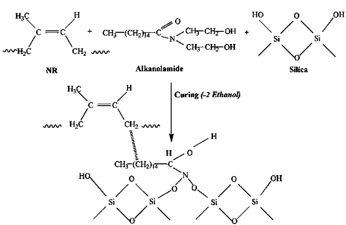 Fig. 12. The probable mechanism of coupling bond between NR and silica in the presence of Alkanolamide.