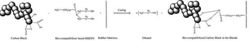 Figure 4. Possible mechanism between bio-compatibilizer and carbon black in the blends