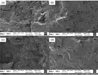 Figure 5. SEM micrographs obtained from tensile fractured surfaces of the NR/R-EPDM blends: control (a), Bio-C1 phr (b), Bio-C2 phr (c) and Bio-C3 phr (d) at 100� magnifications
