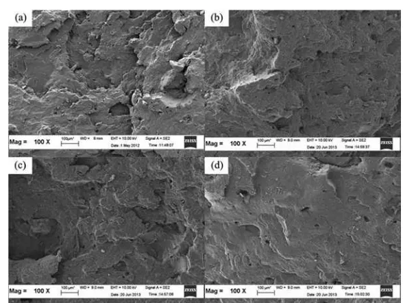 Figure 5.  SEM micrographs obtained from tensile fractured surfaces of the NR/R-EPDM blends: control (a), Bio-C1 phr (b), Bio-C2         phr (c) and Bio-C3 phr (d) at  100     �magnifications