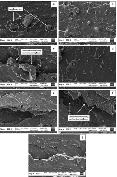 Fig. 12. SEM micrographs of the failed fracture of silica-ﬁlled vulcanisate at a magniﬁcation of 500x: (a) Control, (b) ALK3, (c) ALK5, (d) ALK7, (e) APTES3, (f)APTES5, and (g) APTES7.