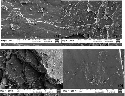 Figure 2. X, (A) A/0.[13]SEM micrographs of the failure fracture surface of unfilled NR compound at a magnification of 200 0, (B) C/0.4, (C) D/0.6, and (D) E/0.8 
