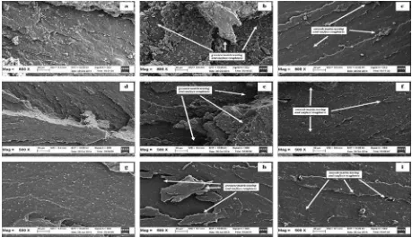 Fig. 6. SEM micrographs of the failed fracture of CB-SMR-LSBRﬁlled vulcanisate at a magniﬁcation of 500X; (a) CB-ﬁlled SMR-L, (b) CB-ﬁlled SMR-LdALK5, (c) CB-ﬁlleddALK7, (d) CB-ﬁlled ENR-25, (e) CB-ﬁlled ENR-25dALK1, (f) CB-ﬁlled ENR-25dALK3, (g) CB-ﬁlled SBR, (h) CB-ﬁlled SBRdALK5, and (i) CB-ﬁlleddALK7.