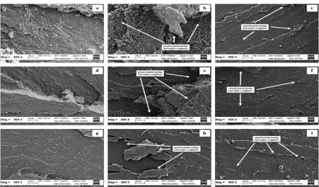 Fig. 6. SEM micrographs of the failed fracture of CB- lled vulcanisate at a magni cation of 500X; (a) CB- lled SMR-L, (b) CB- lled SMR-LﬁﬁﬁﬁdALK5, (c) CB- lledﬁSMR-LdALK7, (d) CB- lled ENR-25, (e) CB- lled ENR-25ﬁﬁdALK1, (f) CB- lled ENR-25ﬁdALK3, (g) CB- lled SBR, (h) CB- lled SBRﬁﬁdALK5, and (i) CB- lledﬁSBRdALK7.