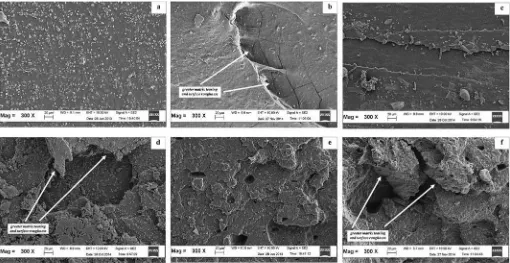 Fig. 8. SEM micrographs of the failed fracture of CB-ﬁlled SMR-L vulcanisate at a magniﬁcation of 300�; (a) 0.0 phr ALKd(EV), (b) 5.0 phr ALKd(EV), (c) 0.0 phr ALKd(semi-EV), (d)5.0 phr ALKd(semi-EV), (e) 0.0 phr ALKd(CV), (f) 5.0 phr ALKd(CV).