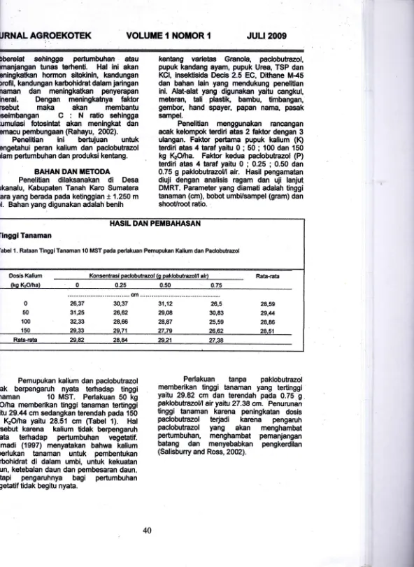 Tabel 1. Rataan Tinggi Tanaman 10 MST pada perlakuan Pemupukan lGlium dan Padobutrazol