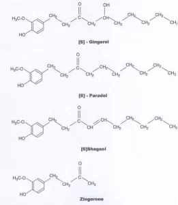 Gambar 3. Komponen non Volatile pada Jahe 