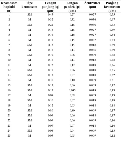Tabel 4.1 Tipe kromosom dan Panjang Lengan Kromosom Neolisochillus sp.