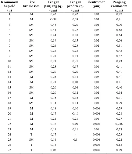 Tabel 4.2 Tipe Kromosom dan Panjang Lengan Kromosom Tor sp. 