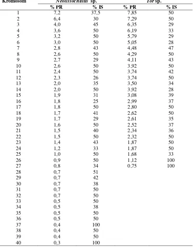 Tabel 4.3 Persentase Panjang Relatif (%PR) dan Indeks Sentromer (%IS) kromosom Neolissochillus  sp