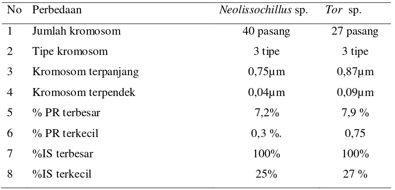 Tabel 4.4 Perbandingan Karyotipe Neolissochillus sp. dengan Tor Sp. 