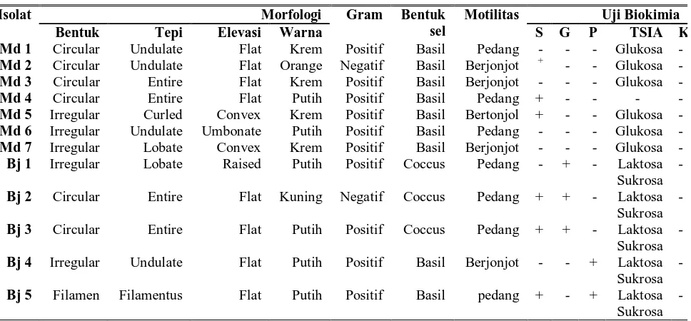 Tabel 1. Karakteristik Bakteri Endofit Isolat  