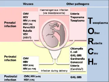 Figure 1: Overview of pregnancy-related infections. 