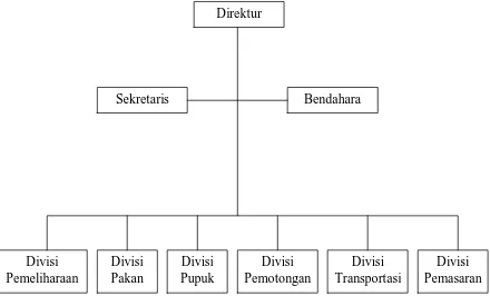 Gambar 1. Struktur Organisasi CV. Plesungan Raya 