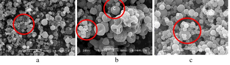 Gambar 2 Hasil SEM ekstrak terenkapsulasi nanokitosan (a) pembesaran 2500x, 