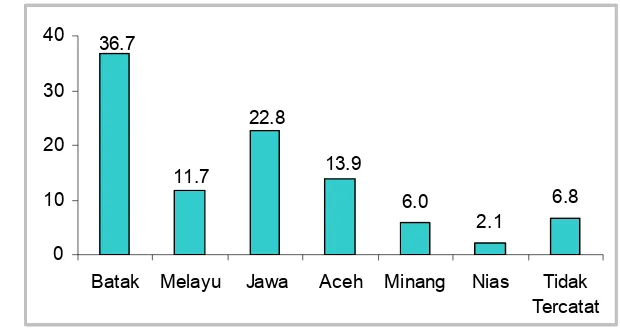 Gambar 6.4.Diagram Pie Penderita Stroke Rawat Inap Berdasarkan Suku Di Rumah Sakit Haji Medan Tahun 2002-2006