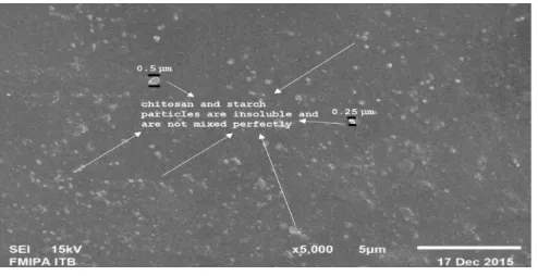 Figure 5. Scanning Electron Microscopy (SEM) 