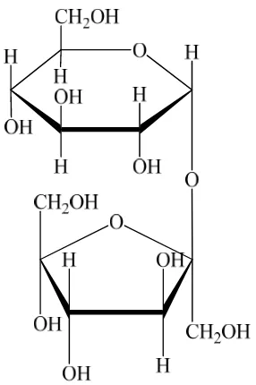 Gambar 2.3 Struktur Fruktosa 