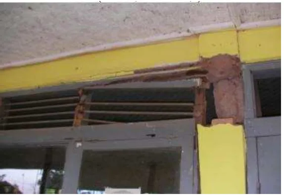 Gambar 1.5  Kerusakan Bangunan Sekolah di Desa Raksajaya 