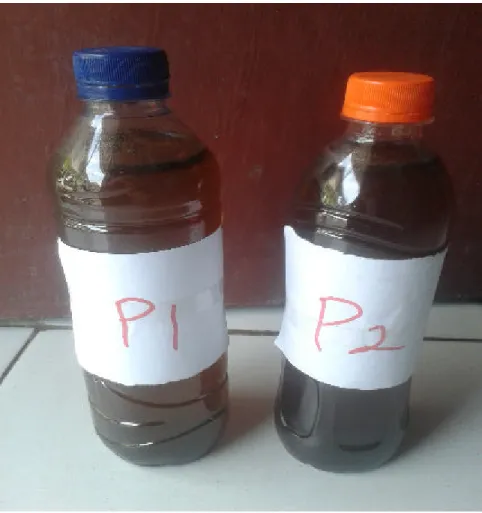 Gambar 9. POC Ragi (P1) Dan EM 4  (P2) 