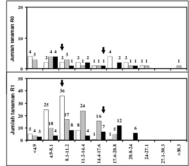 Gambar 6. Jumlah tanaman R0 yang diregenerasikan dari ES cv. Singa hasil seleksi in vitro selama satu atau dua siklus dalam media PEG serta satu siklus dalam media PEG, diikuti dengan media filtrat kultur (seleksi ganda) dan R1 zuriat dari tanaman R0 yang 