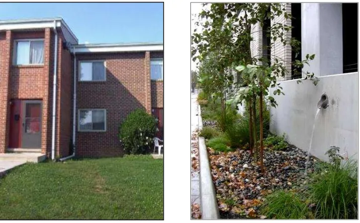 Gambar 5. Vegetated Rooftop di Lancaster, Pennsylvania  (Sumber: LiveGreen) 