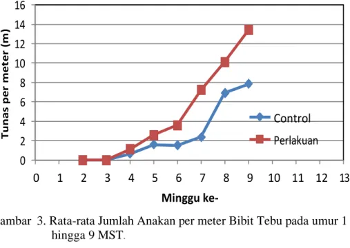 Gambar 4. Total Jumlah Tunas per meter Bibit Tebu pada umur 1 hingga 9  MST 