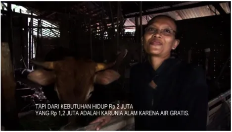 Gambar 21. Gunarti di kandang sapi 