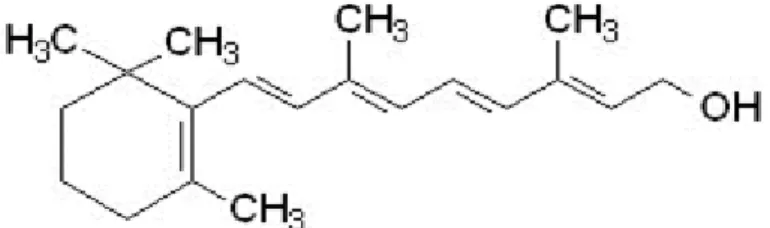 Gambar 2. Struktur Retinol (Vitamin A) 