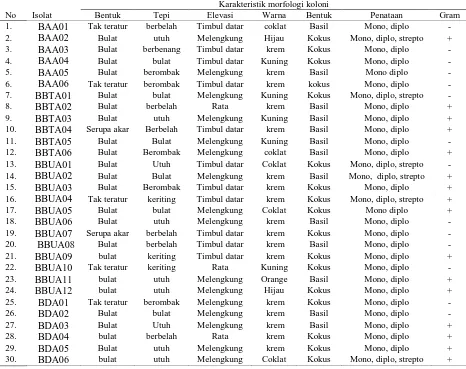 Tabel 4.1 Karakteristik morfologi koloni isolat bakteri endofit Akar, Batang,           Daun, dan Buah Andaliman 