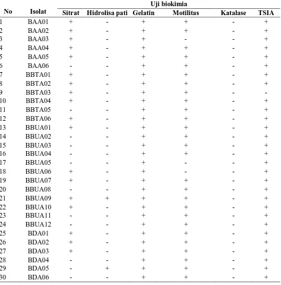 Tabel 4.2. Hasil uji biokimia metabolisme bakteri endofit dari andaliman   Uji biokimia 