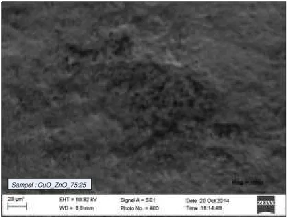 Figure 1. SEM image of CuO:ZnO with ratio in mass composition 75%:25% at 800oC sintering 