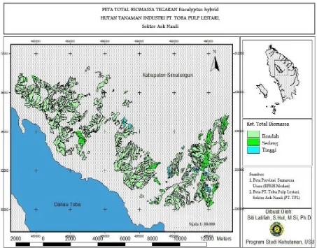 Figure 1. Map of biomass  Hybrid Eucalyptus in Aek Nauli Sector, North Sumatera Indonesia  