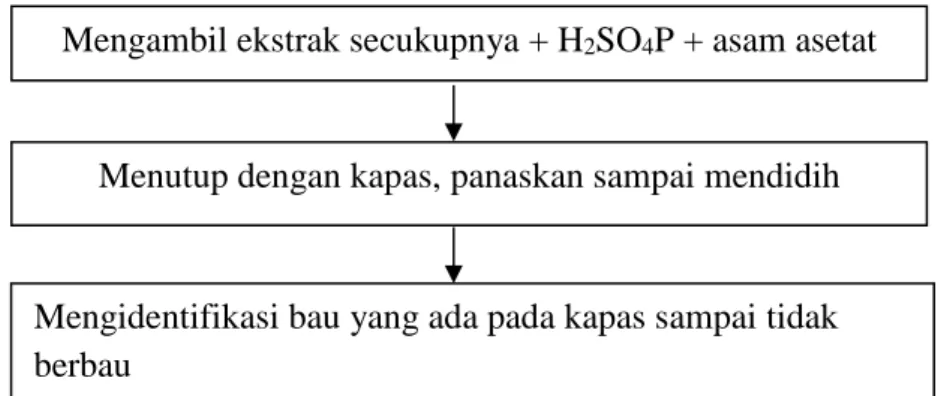 Gambar 3.4 Skema Uji Bebas Etanol 