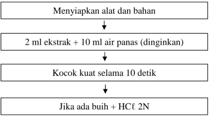 Gambar 3.5 Skema Uji Saponin 