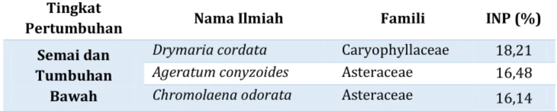 Tabel 2 Dominansi jenis pada semai dan tumbuhan bawah  Tingkat 