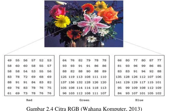 Gambar 2.4 Citra RGB (Wahana Komputer, 2013) 