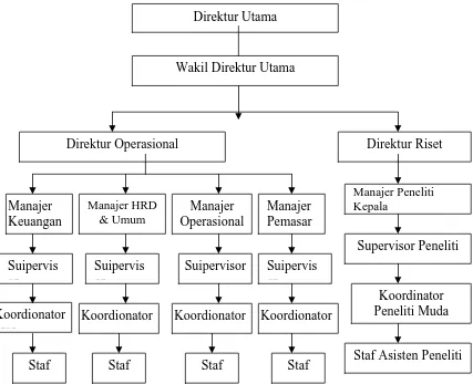 Gambar 1.1 Struktur Organisasi CV. Indmira Citra Tani Nusantara 