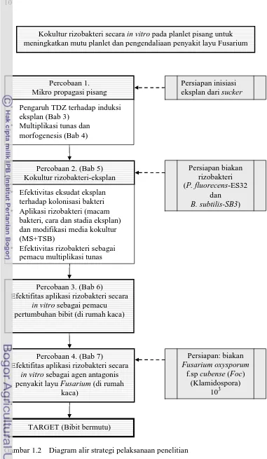 Gambar 1.2   Diagram alir strategi pelaksanaan penelitian 