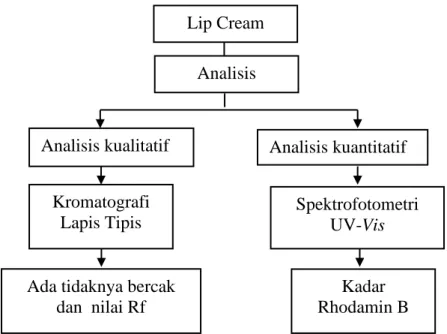 Gambar 2.12  Kerangka Konsep 